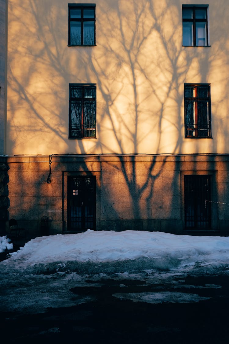 Shadow Of Tree On Block Of Flats