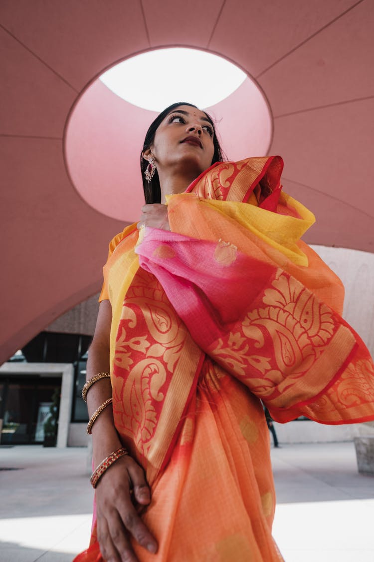 Woman Posing In Traditional Indian Dress