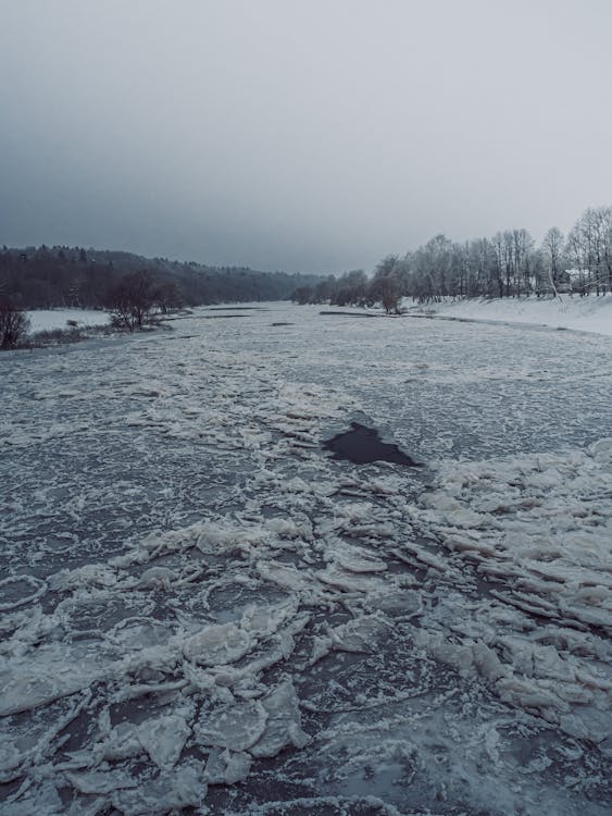 Základová fotografie zdarma na téma holé stromy, ledový, malebný