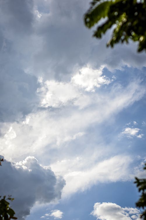 Foto stok gratis alam, awan putih, formasi awan
