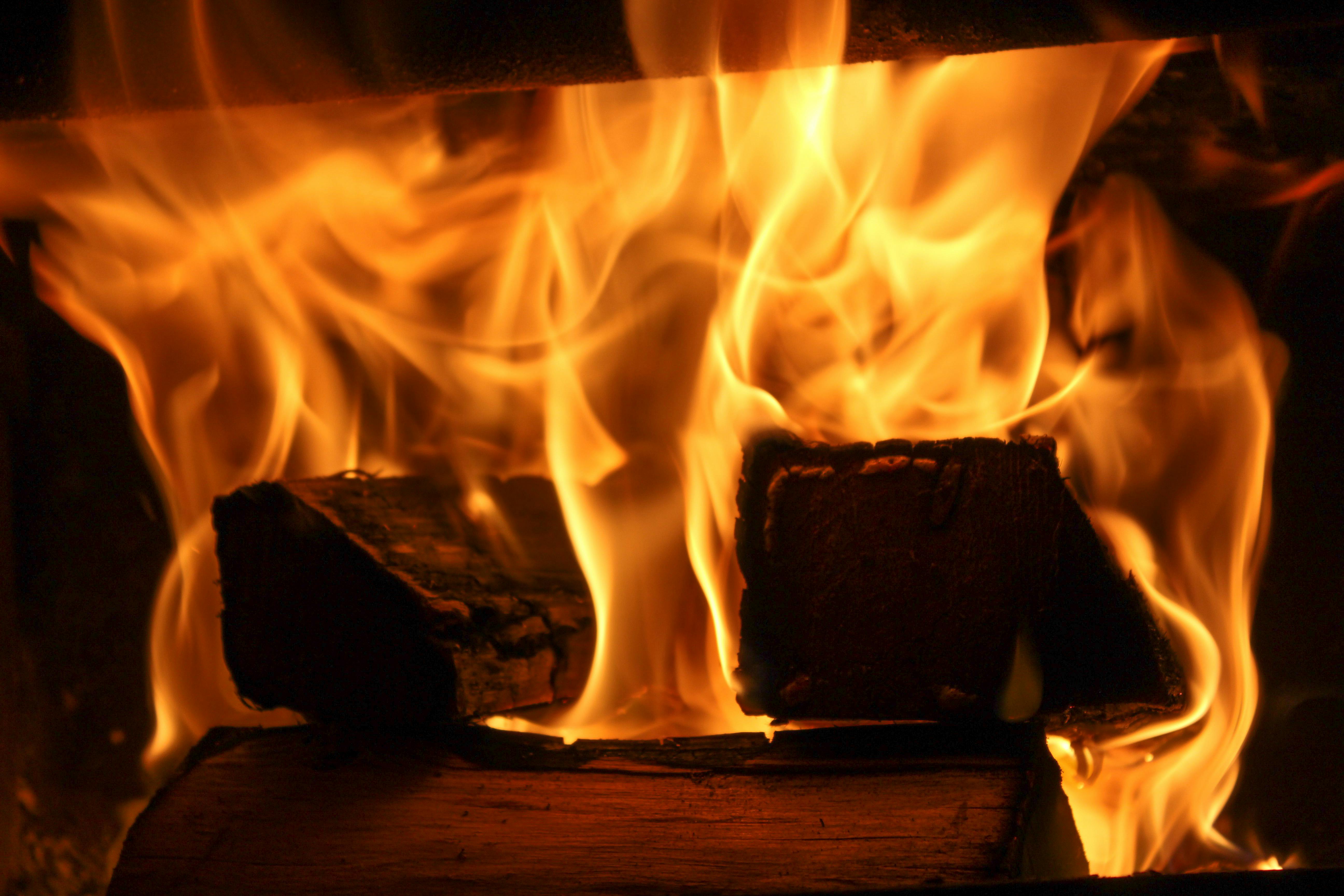 Kostenloses Foto zum Thema feuer, flamme, orange
