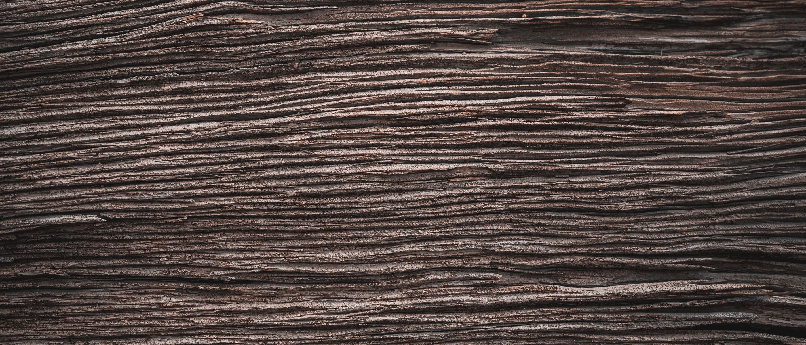 Fence and Decking Painting in Kensington — walls rolled to an even, flat finish