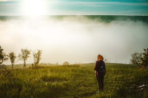 Immagine gratuita di campo, cloud, erba