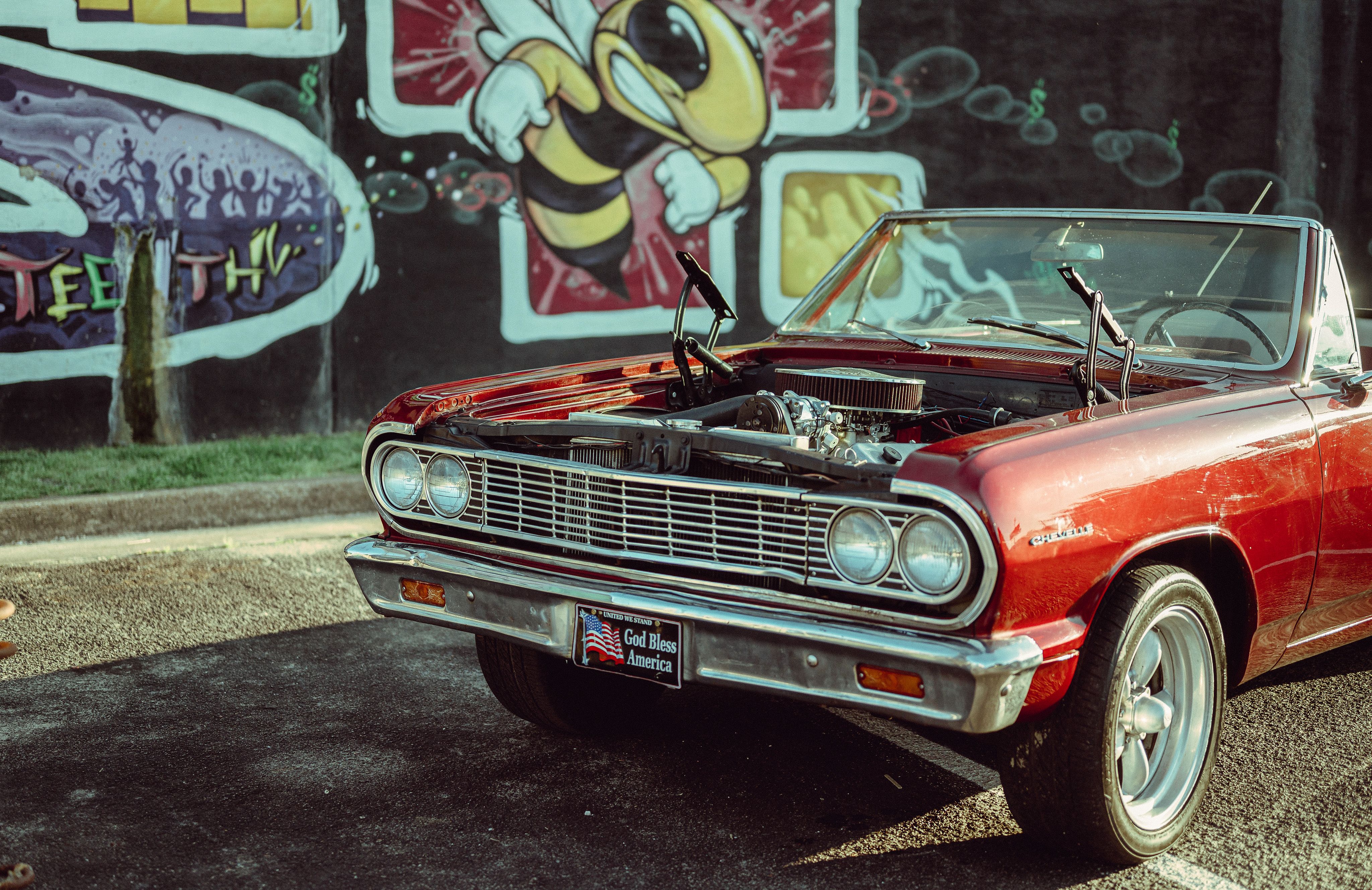 Bees Tires Photos, Download The BEST Free Bees Tires Stock Photos & HD ...