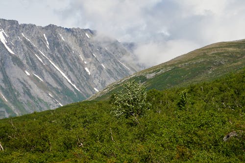 Kostnadsfria Kostnadsfri bild av berg, bergstopp, dal Stock foto