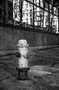 Grayscale Photo of a Fire Hydrant