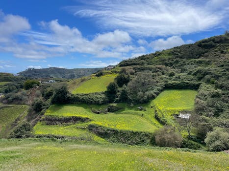 Lush green terraces under a vibrant blue sky with clouds, capturing the beauty of nature.