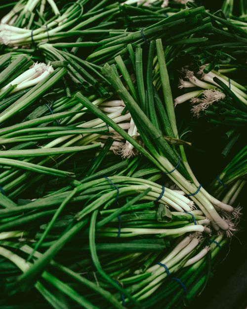 Free Close-up of fresh green onions bundled together, showcasing vibrant greens and whites. Stock Photo