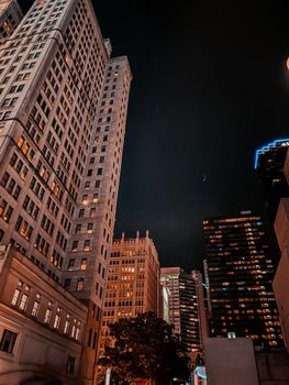 A stunning cityscape featuring illuminated skyscrapers against a dark night sky.