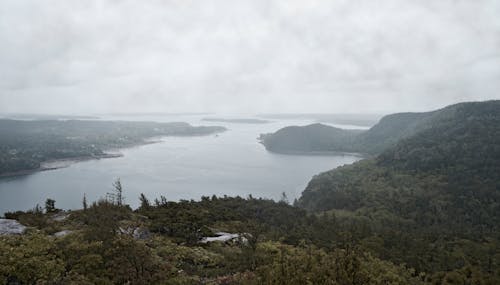 Free stock photo of acadia, atlantic, bay