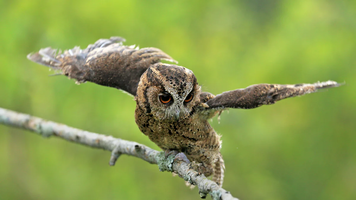 Solving the Mystery: Why Great Horned Owls Hang Upside Down