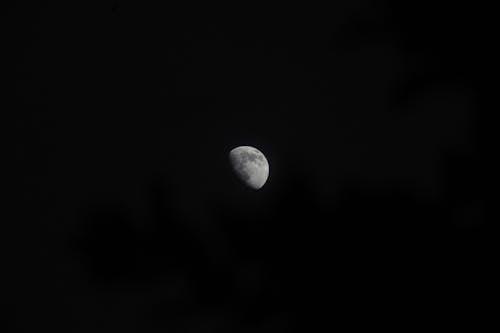 Grayscale Photo of Moon in Dark Night Sky
