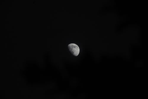 Free Grayscale Photo of Moon in Dark Night Sky Stock Photo