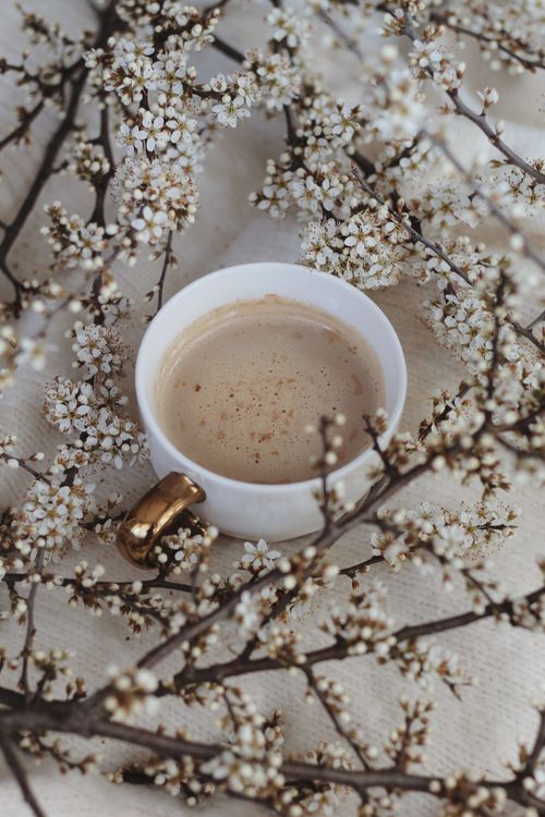 Free A warm cup of coffee nestled among delicate spring branches and blossoms, capturing a tranquil moment. Stock Photo