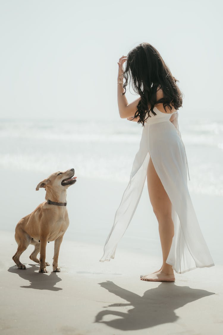 Woman In White Dress Standing In Front Of Brown Short Coated Dog