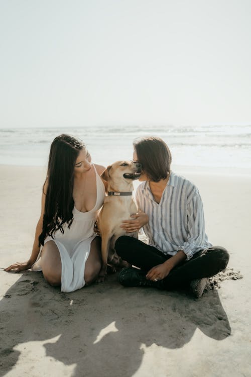 Free Woman in Black Bikini Sitting Beside Brown Short Coated Dog on Beach Stock Photo