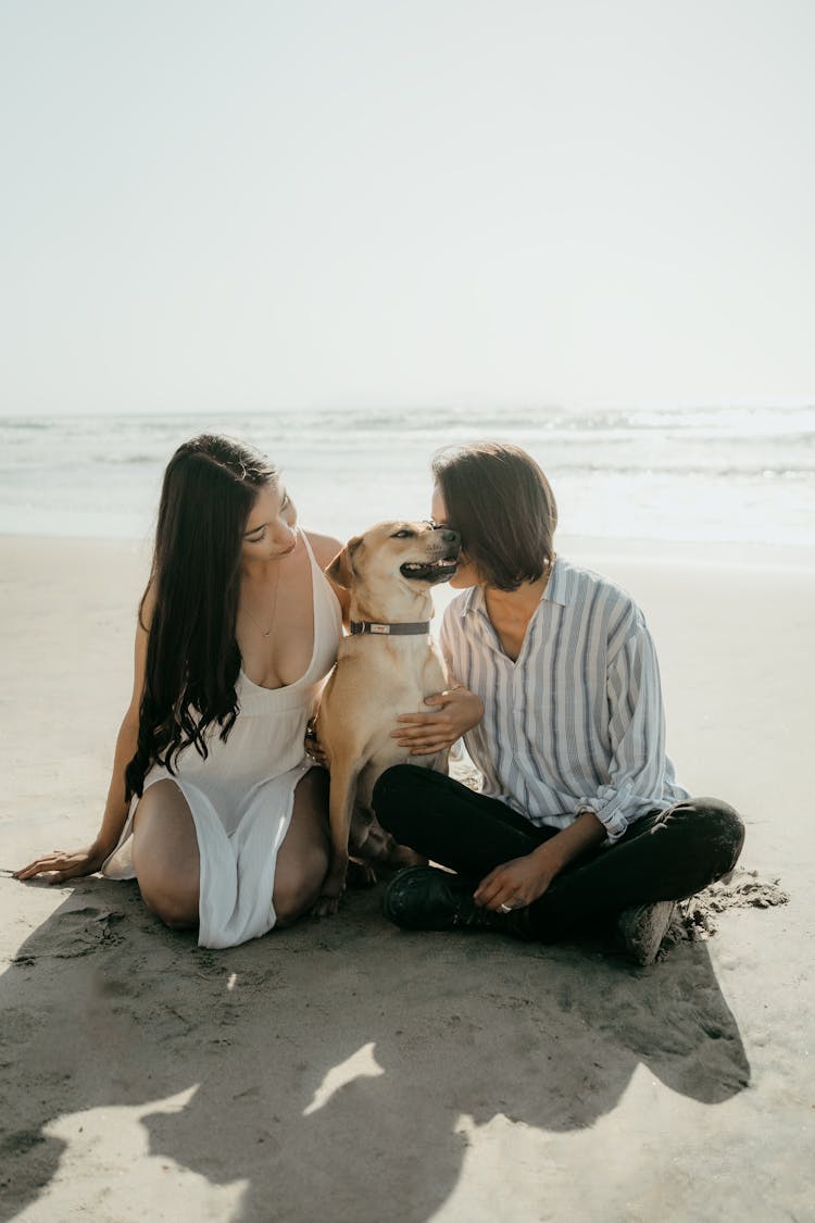 A Couple Holding The Dog 