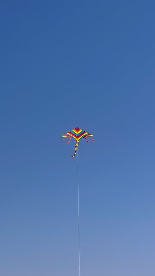 Free Kite on the beach Stock Photo