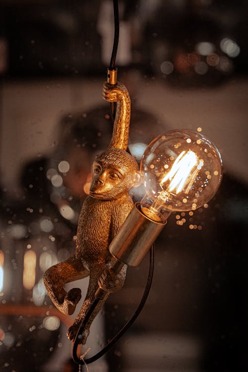 Free Monkey Shaped Lamp Stock Photo