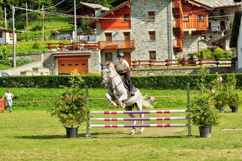 Man in White Shirt and Black Pants Riding White Horse