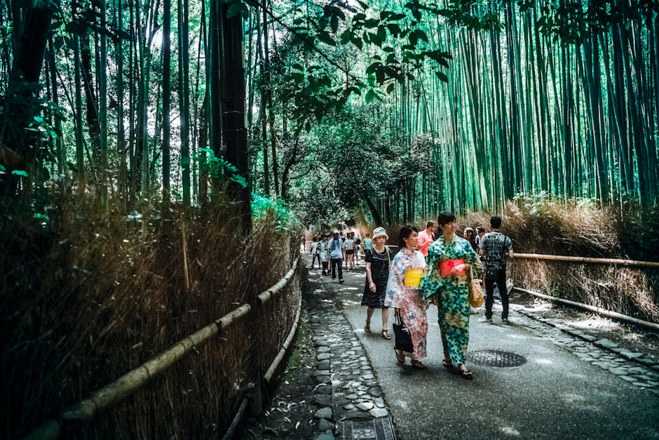 bamboo trees, bridge, city