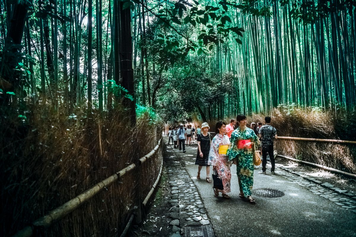 Arashiyama Bamboo Grove in Kyoto