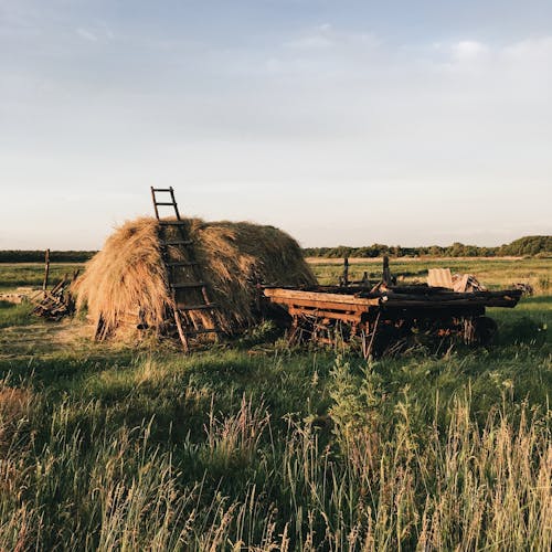 Stack of Hay in Field