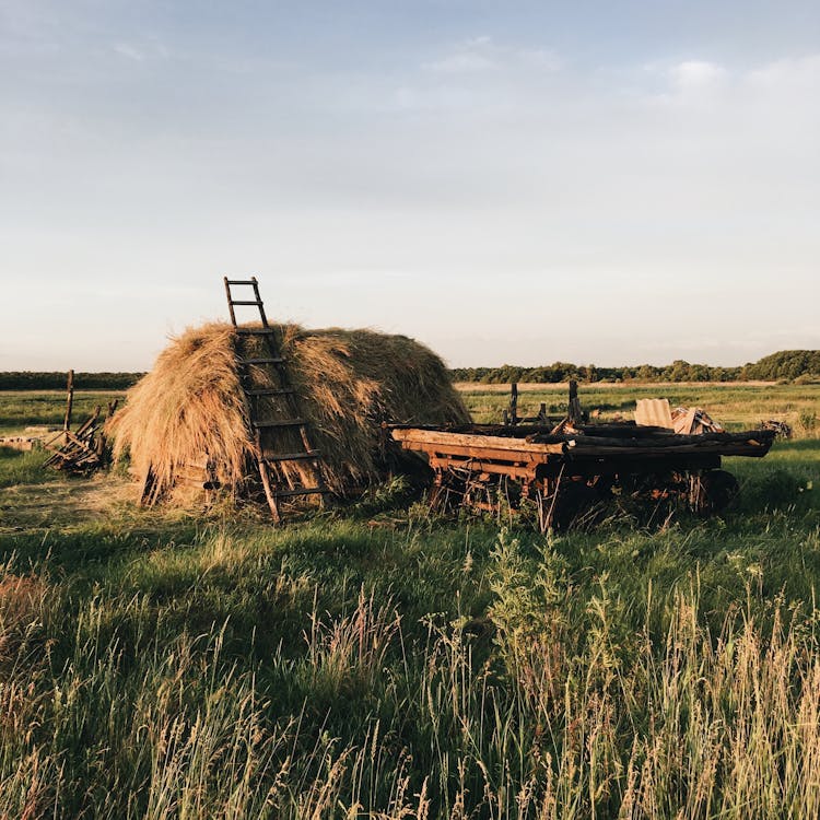 Stack Of Hay In Field