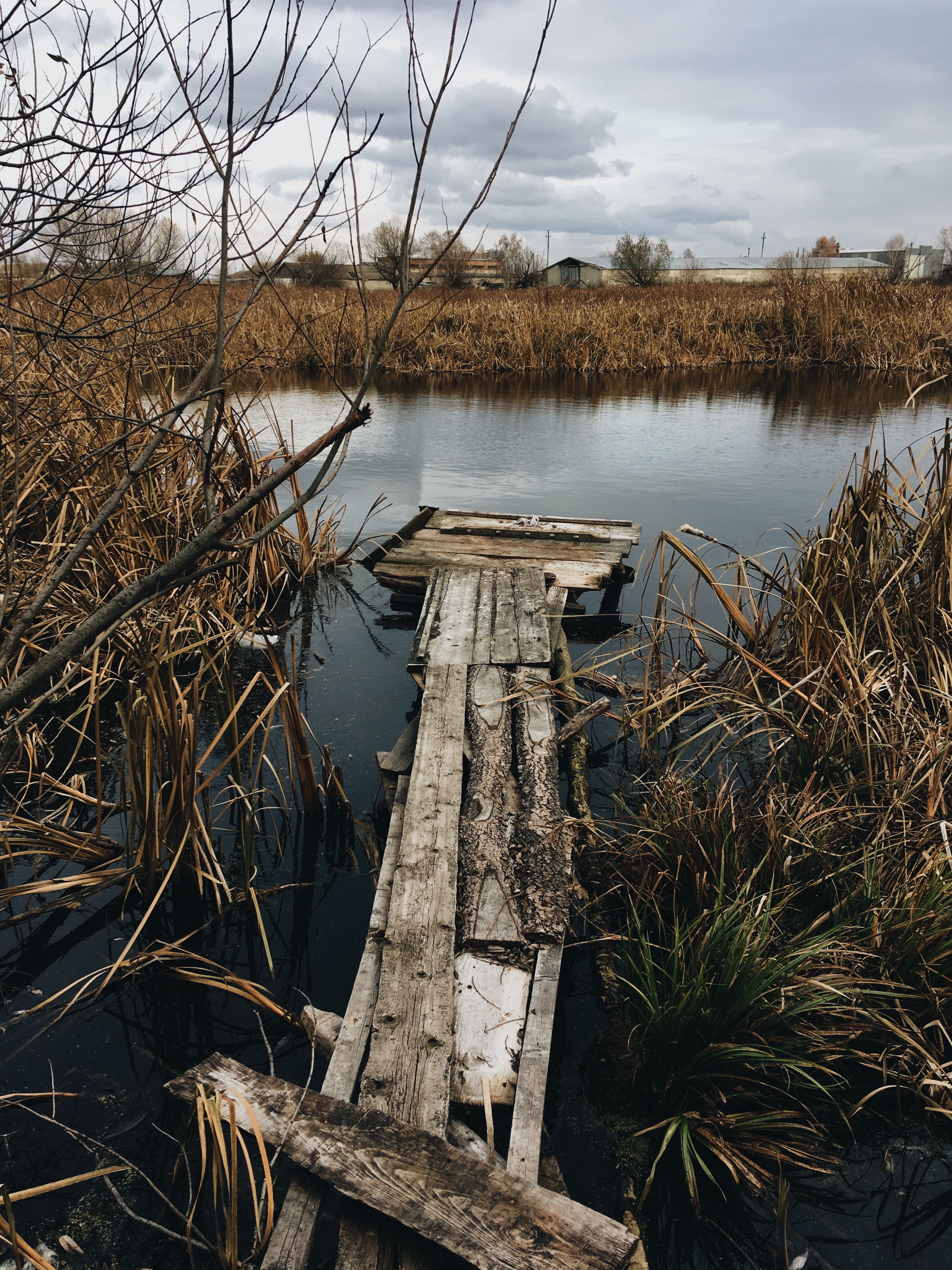 Brown Wooden Dock on Body of Water · Free Stock Photo