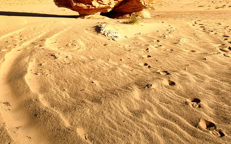 Things to Do in Tabuk, Saudi Arabia | SaudiActivities