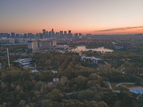 Aerial Photography of Green Trees in the City During Dawn