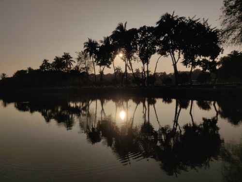 Free Silhouette of trees reflected in a tranquil lake at sunset in Khulna, Bangladesh. Stock Photo
