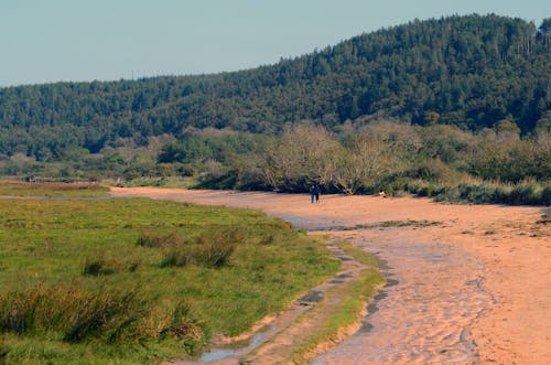 Rural Landscape of a Road and Forest on a Hill 