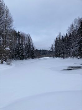 A serene winter landscape of a snow-covered forest and frozen river in Arkhangelsk, Russia.