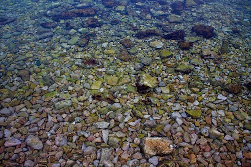 Gratis Immagine gratuita di acqua, acque poco profonde, costa rocciosa Foto a disposizione
