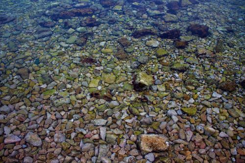 Free Rocky shoreline in clear water at Njivice, creating a textured underwater view. Stock Photo