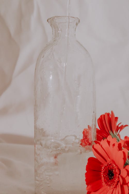 Pouring Water on Clear Glass Bottle 