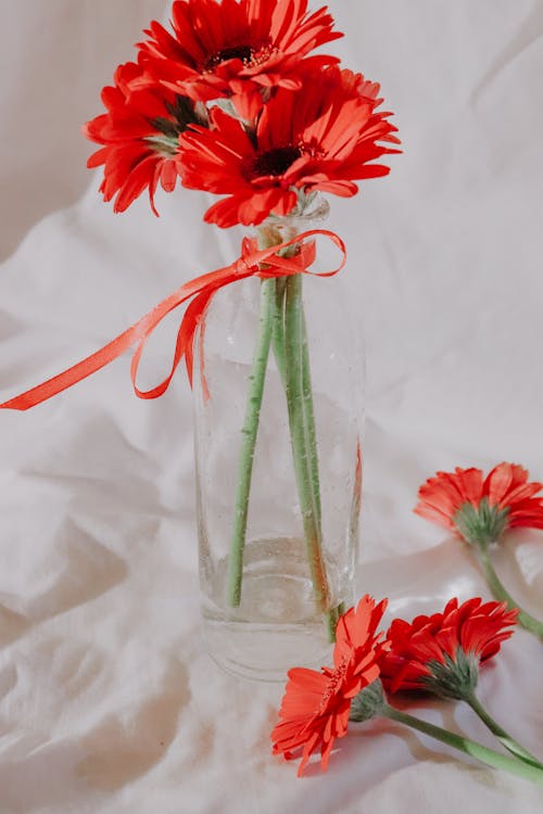 Red Flowers on Glass Vase 