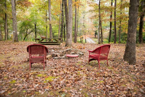 Autumn conversation spot