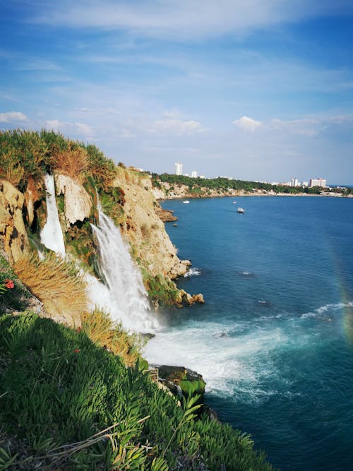 Green Grass on Cliff Near the Sea Under Blue Sky