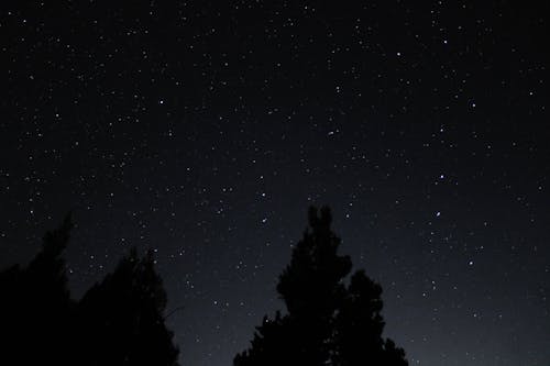 Starry Sky During Night Time