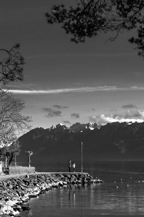 Fotobanka s bezplatnými fotkami na tému čierny a biely, hory, jazero
