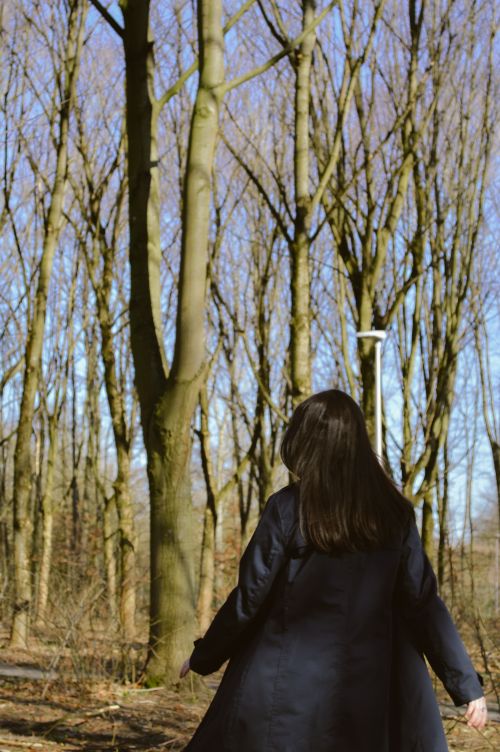 Free A woman in a black coat walking through a tranquil forest, surrounded by tall trees on a sunny day. Stock Photo