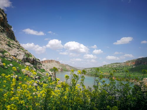 Green Mountains Near Body of Water Under the Sky