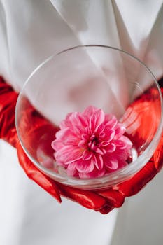 Close-up of pink dahlia in glass bowl held by red-gloved hands, elegant and minimalist.