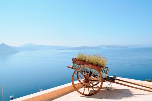 
A Cart of Lavender on a Rooftop with a Beautiful View of the Sea