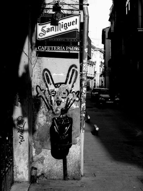 De franc Foto d'estoc gratuïta de blanc i negre, carrer, carreró Foto d'estoc