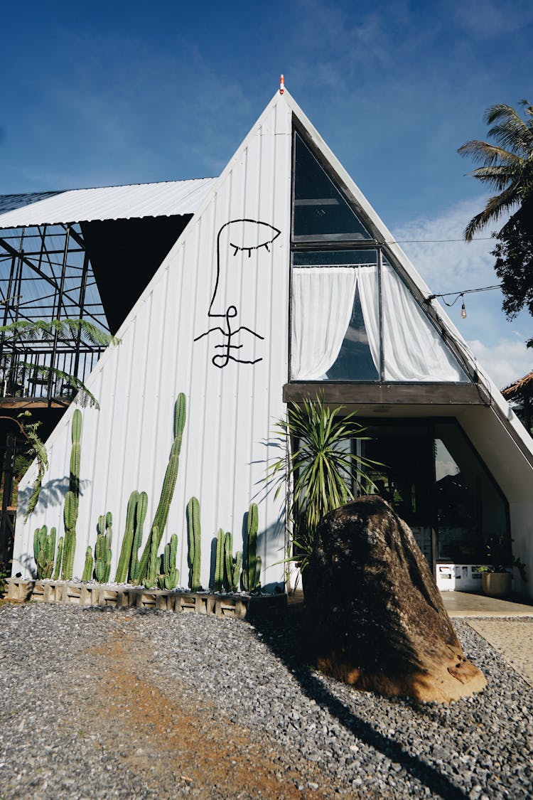 Drawings With Cactus On House Wall