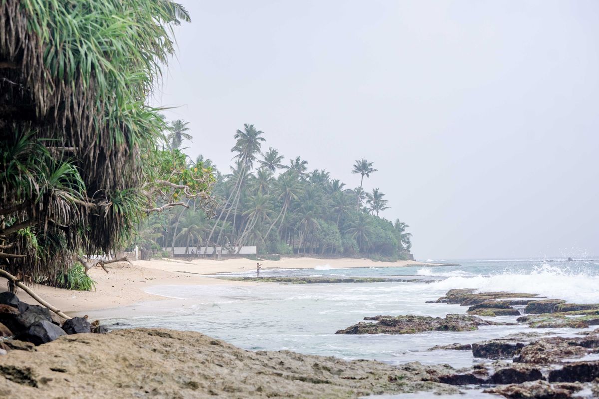 Palmowa plaża i Ocean Indyjski w Galle na Sri Lance