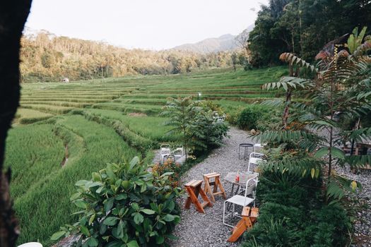 Charming outdoor seating amidst lush rice paddies in Sumatera Barat, Indonesia, offering a peaceful rural escape.